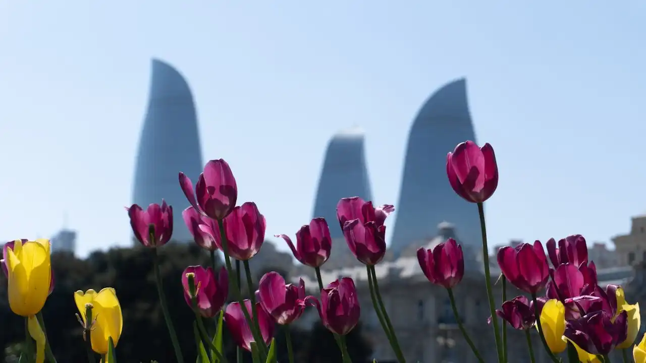 Here Are The Basics Of Azerbaijani Vowel Harmony